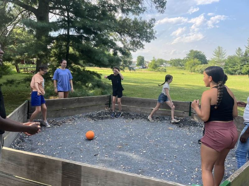 gaga ball pit A group of individuals play a game with an orange ball in a wooden enclosure, surrounded by trees and grass on a sunny day.