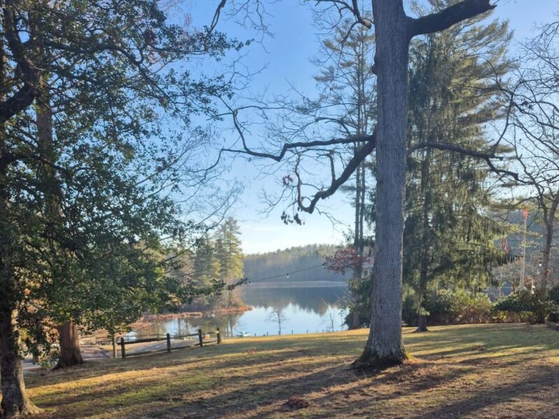 A serene lake scene with evergreen trees reflecting in the water, surrounded by wooded area and clear blue sky without visible landmarks.