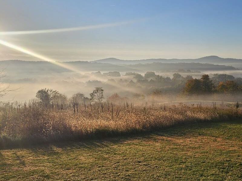 A serene landscape captures a foggy morning with rolling hills, grasslands, and a bright sunrise casting golden rays over misty fields.