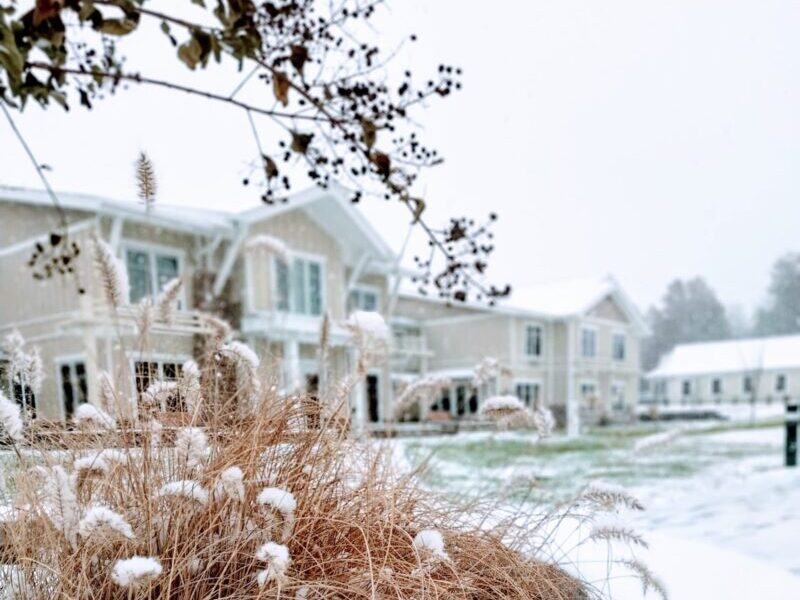 Blue Christmas Snow covers dried plants in front of suburban houses. Winter scene with overcast sky, snowflakes dusting branches and grass, blanketing the neighborhood.
