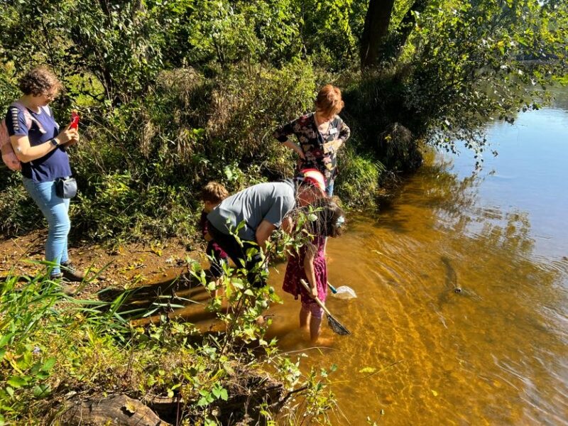 Camp Alumni Retreat Four people interact by a sunny riverbank, observing the water. One person photographs while others examine something in the water.
