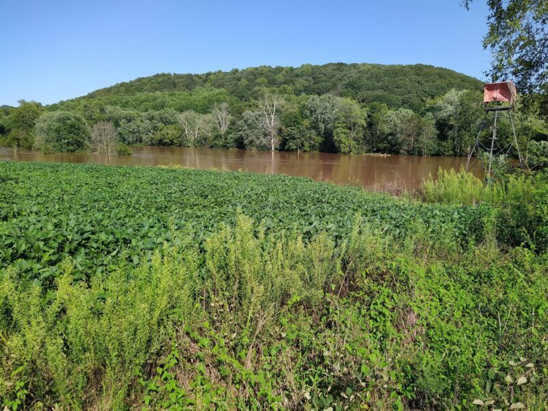 Two people stand by chalkboards in a wooden hall, while others are seated, discussing topics written on the boards.